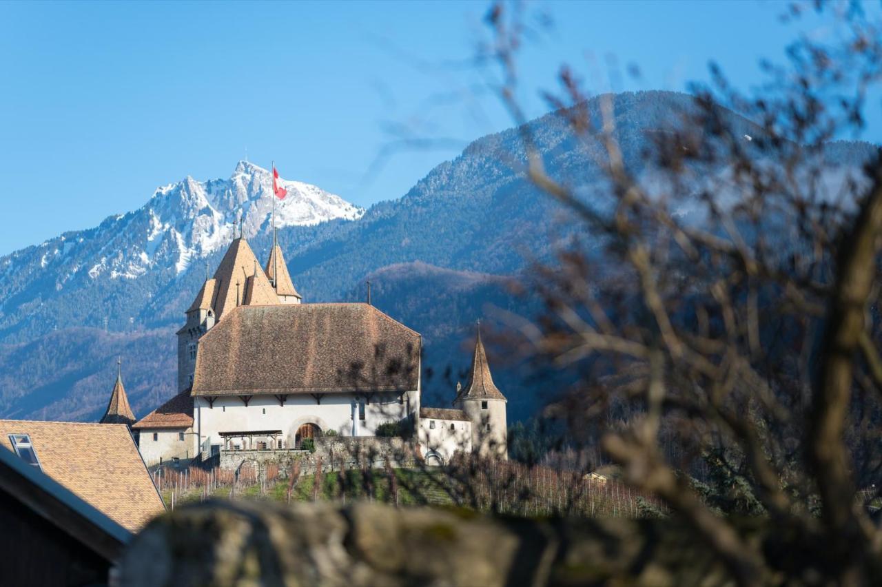 Nonanteneuf Appart Hotel Aigle - Contactless Check-In Luaran gambar
